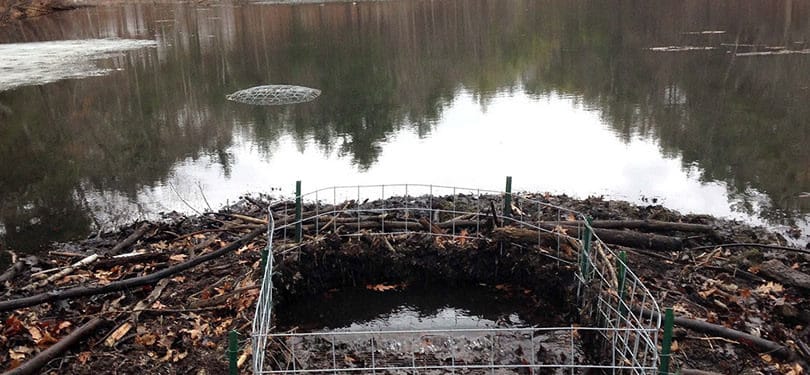 Beaver Solutions - flow management devices, beaver products, beaver problems, beaver removal, beaver control methods, beaver control devices, beaver pond leveler, how to get rid of beavers